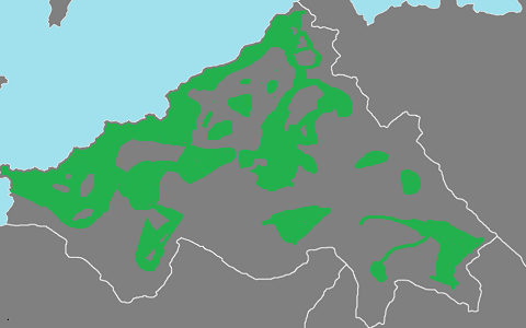 5b97f300-358e-4ec1-8452-37fe4a4b6540-image.png